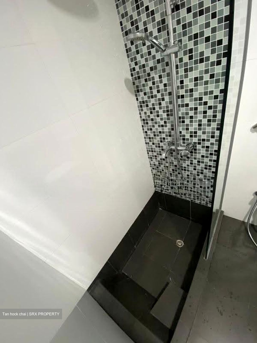 Opal Suites (D12), Apartment #635560701